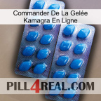 Commander De La Gelée Kamagra En Ligne viagra2
